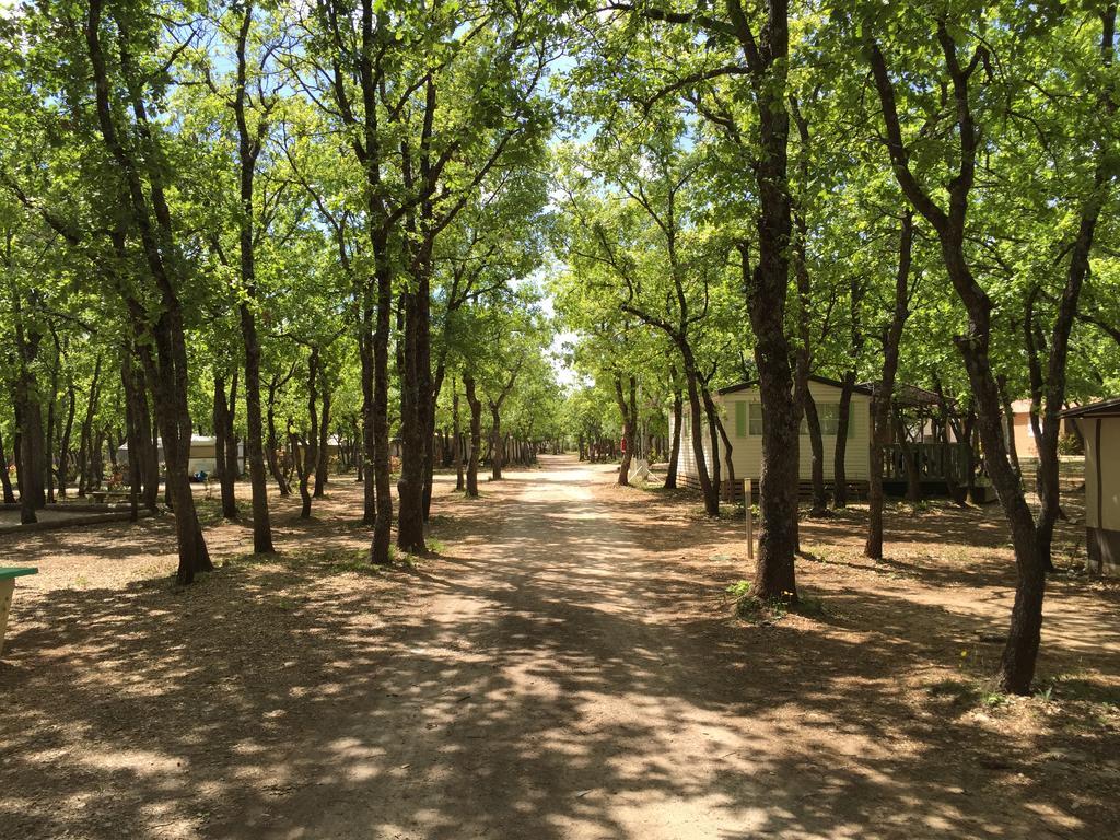 Отель Domaine Les Chenes Blancs Сен-Сатюрнен-д'Апт Экстерьер фото