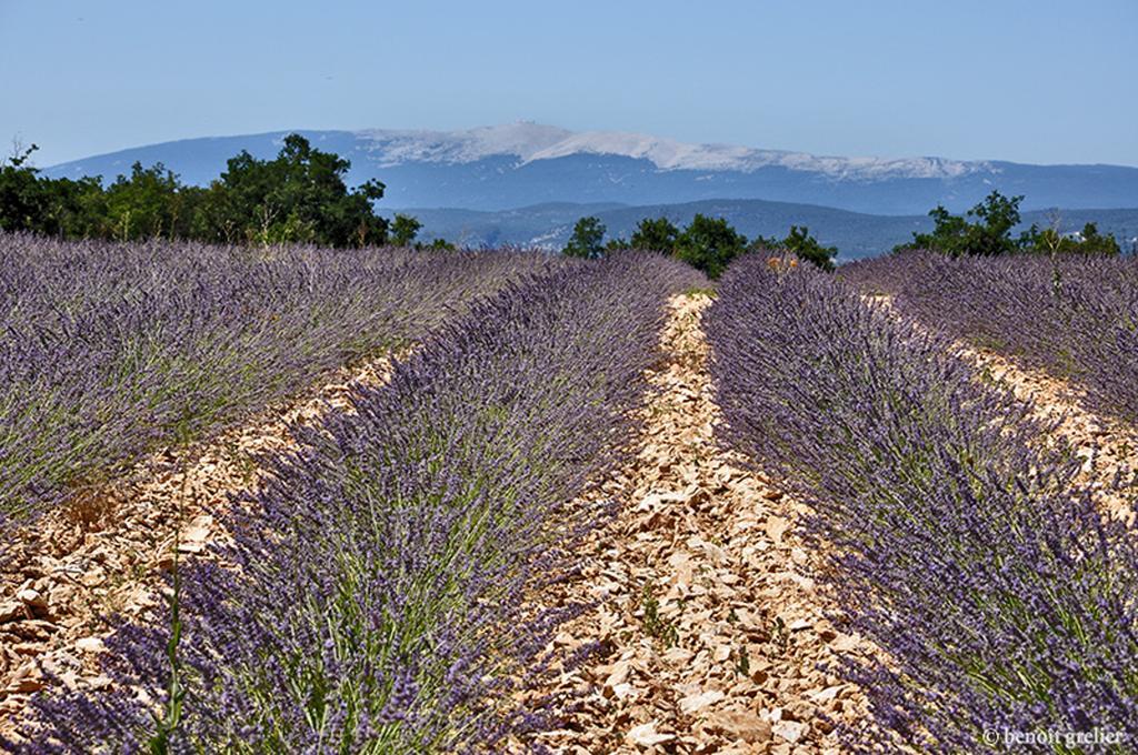 Отель Domaine Les Chenes Blancs Сен-Сатюрнен-д'Апт Экстерьер фото